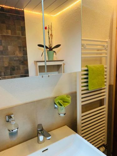 a bathroom with a sink and a mirror at Casa Restelli OG - nahe Andermatt Gotthard in Gurtnellen