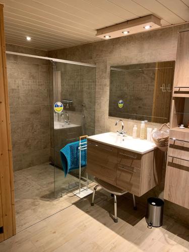 a bathroom with a sink and a shower at Harmony House in Handewitt