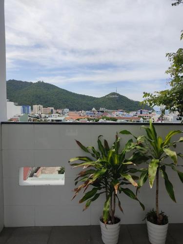 two potted plants on a wall with a view of a city at NGỌC QUÝ Mini House in Quy Nhon