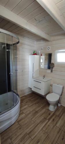 Vonios kambarys apgyvendinimo įstaigoje Domek w Karkonoszach