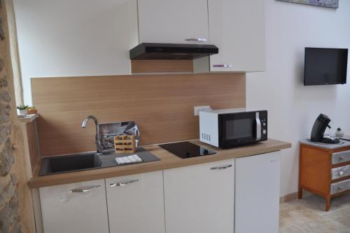 a kitchen with a sink and a microwave at LA MAGNANERIE in Grillon