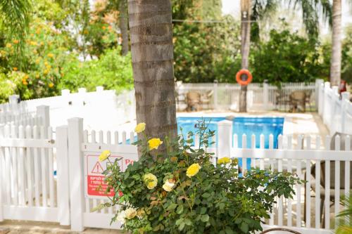a white fence with a plant in front of a tree at Eden Ramot Chalets in Moshav Ramot