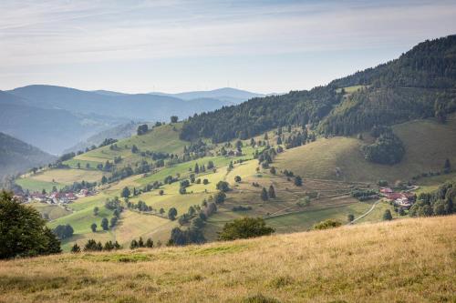 a green hillside with trees and houses on it at Chalet Abnona in Wieden