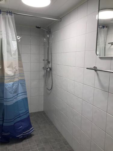 Un baño con ducha con cortina de ducha azul. en Hagaborg Bed & Breakfast, en Köpingsvik