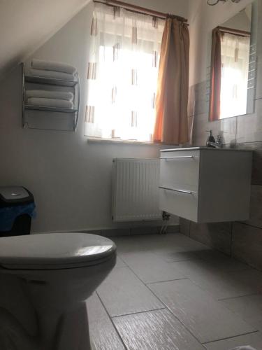a bathroom with a toilet and a sink and a window at Napház Panzió in Tiszafüred