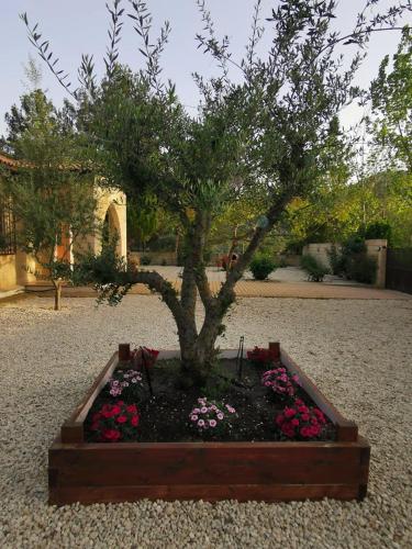 a bonsai tree in a garden with flowers at House of Roses in Limassol