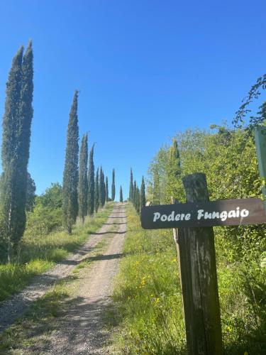 Podere Fungaio - Belocations – Photos 5