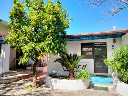 a house with a pool and trees in front of it at B&B Masseria Liberatore in Mattinata