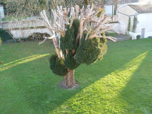 a fake tree in the middle of a yard at Logis de L'Arceau in Celles