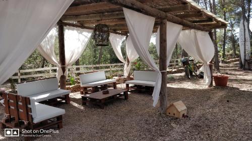 Casa Beja photo 2