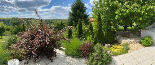 a garden with plants and trees on a patio at Zora’s Home in Irig