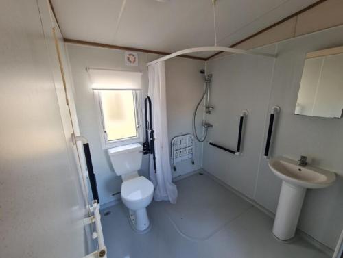 a small bathroom with a toilet and a sink at The Pearl - Deluxe Access Caravan in Skegness