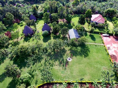 an aerial view of a yard with trees and a house at Tusubira village in Jinja