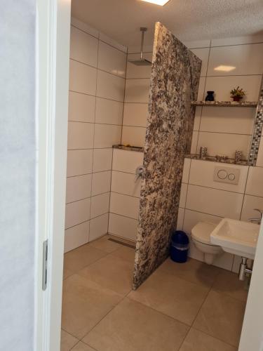 a bathroom with a toilet and a sink at Ferienwohnung Elvira in Dätzingen