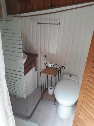 a small bathroom with a toilet and a sink at Peniche Caroline in Capestang