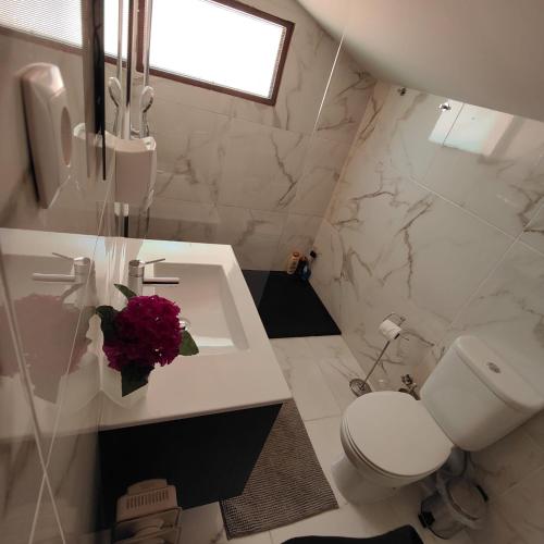 a bathroom with a white toilet and a sink at Casa dos Avós in Geres