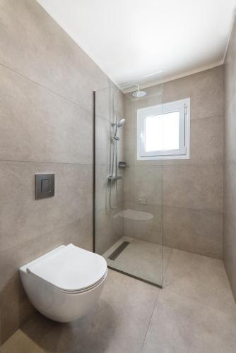 a bathroom with a toilet and a glass shower at ANASTASIOS HOUSE STEGNA in Archangelos