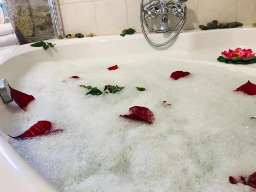 una bañera llena de agua con rosas rojas. en PAZO DE CÍCERE en Cícere