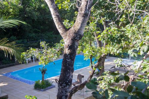 a swimming pool in a garden with a tree at Vila Flores Pousada in Serra do Cipo