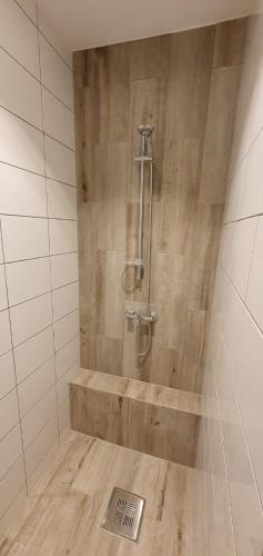 a shower in a bathroom with a wooden floor at Casa Alex si Daiana in Orşova