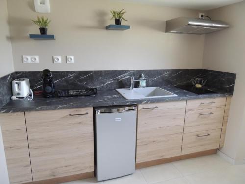 cocina con fregadero y lavavajillas blanco en Appartement entre terre et baie, en Pontorson