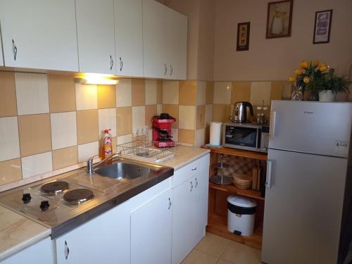 a kitchen with a sink and a white refrigerator at Zenit Apartman in Makó