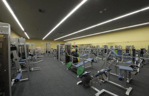 Fitness centrum a/nebo fitness zařízení v ubytování Hotel Solpark