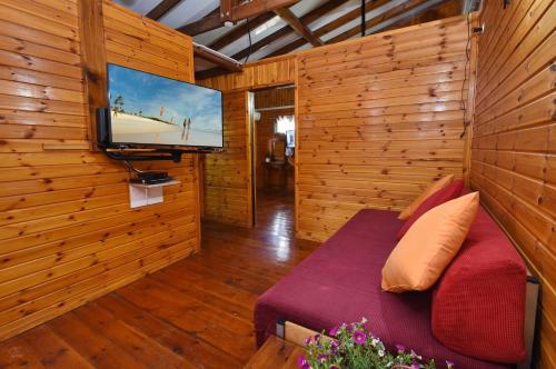 a room with a tv and a couch in a room at פינה במעיין in Mishmār Hāyardin