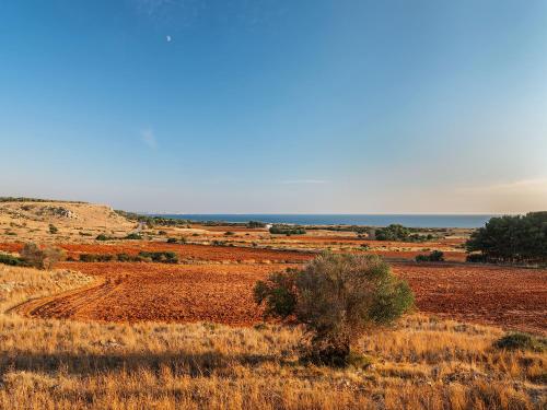 Φυσικό τοπίο κοντά σε αυτή η βίλα