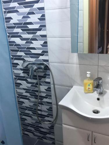 a bathroom with a shower and a sink at Apartman CENTAR in Titel