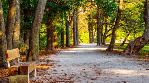 Romantic two bedroom apartments close to Normafa with private parking