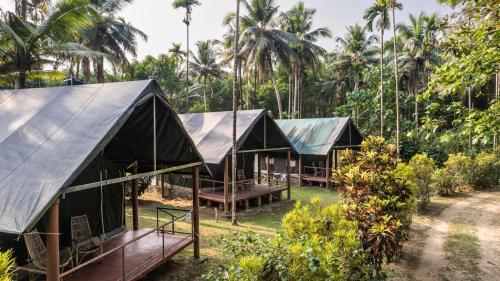 Zahrada ubytování Amritara Riverside Camp
