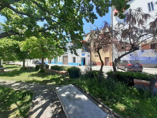 a street with trees and a road with a car at bed and breakfast Murales Orgosolo in Orgosolo