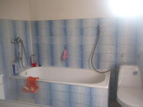a bathroom with a bath tub and a toilet at Restaurace s ubytováním in Křižany