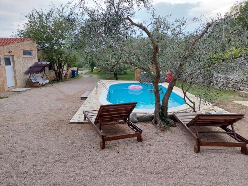 La alberca dentro o cerca de Holiday House Pulina