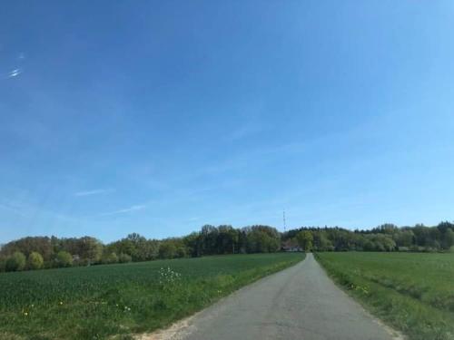 a dirt road in the middle of a green field at katshof in Godewaersvelde