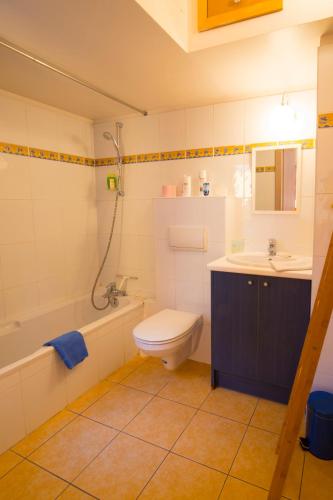 une salle de bain avec toilettes et lavabo dans l'établissement Les Bains de Rosheim, à Rosheim