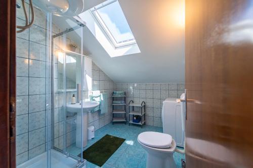 a bathroom with a toilet and a sink and a skylight at Apartment Nada in Petrcane