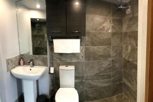 a bathroom with a toilet and a sink at Coombe Cottage in Honiton