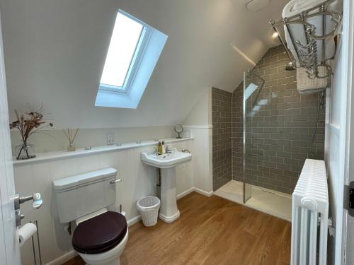 uma casa de banho com um WC, um lavatório e um chuveiro em Little Thistle Apartment em Whitebridge