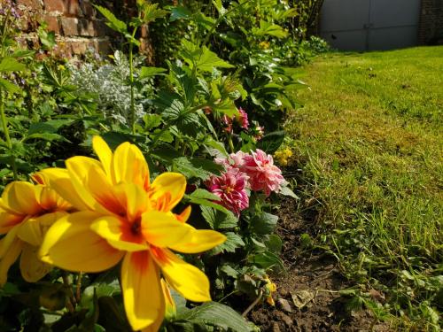 a garden with yellow and pink flowers at Chez le Petit Peintre in Laboissière-en-Thelle
