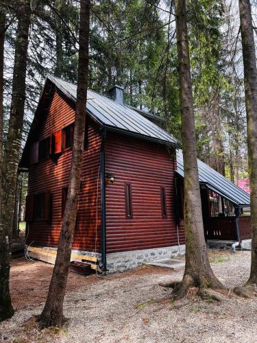 a wooden cabin in the middle of a forest at Cabana Adrienne in Izvoru Mureşului