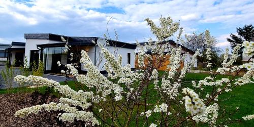Κήπος έξω από το Ferienhäuser Brieden - "Haus Pommerbach" & "Haus Wegwarte"