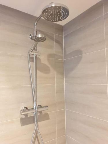 a shower with a shower head in a bathroom at The Bothy near Tenby, Big Projector Screen, Four-poster bed, on-site HOT TUB access via Spa Pack in Tenby