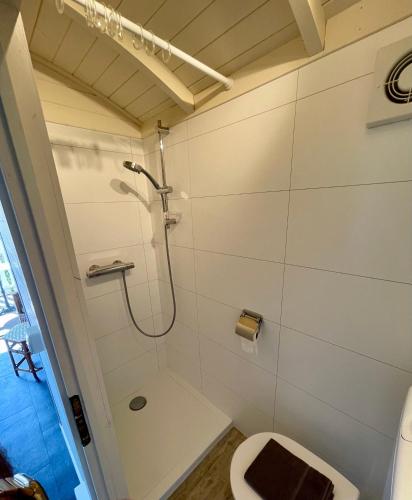 a bathroom with a shower and a toilet at Pipowagen aan zee in Bergen aan Zee