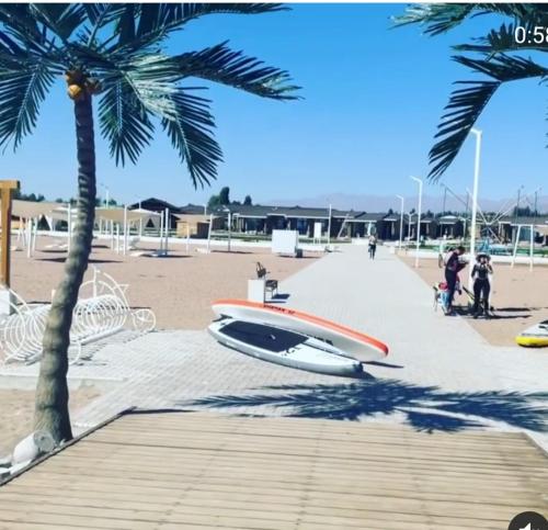 a boat sitting on the beach next to a palm tree at Иссык-Куль Кыргызстан, коттедж ЦО Палм Бич in Chok-Tal