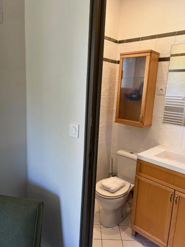 a bathroom with a toilet and a sink and a mirror at Appartements Saint Pancrace in Corte