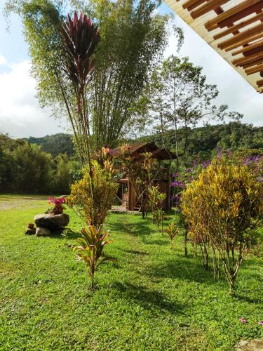 a garden with a house in the background at Senz Chalet Riverside - Mindo in Mindo