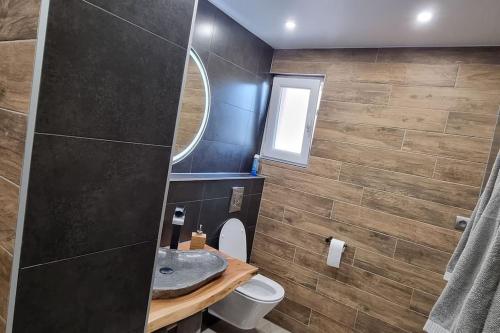 een badkamer met een wastafel, een toilet en een spiegel bij RoyalSpa appartement d'amour avec jacuzzi privatif in Straatsburg