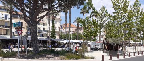 Photo de la galerie de l'établissement BANDOL Maison de Campagne, à Bandol